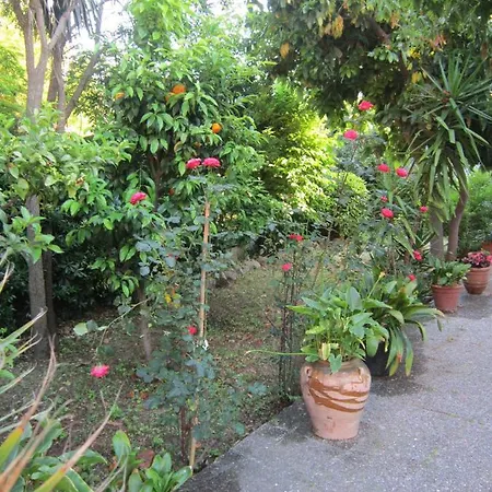 Cruz Guest house *